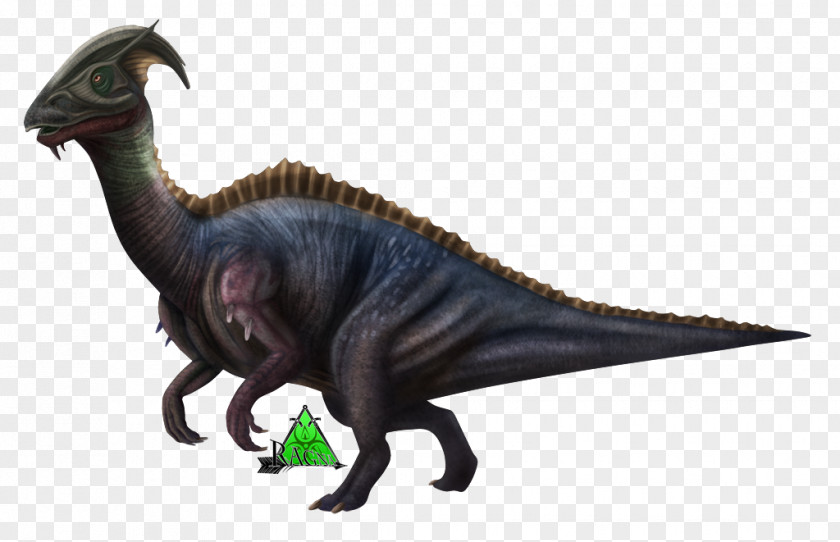 Parasaurolophini Tyrannosaurus Velociraptor Extinction Terrestrial Animal PNG
