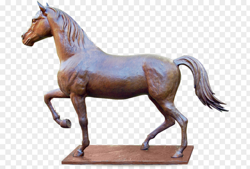 Sculpture Equestrian Statue Image Pony PNG