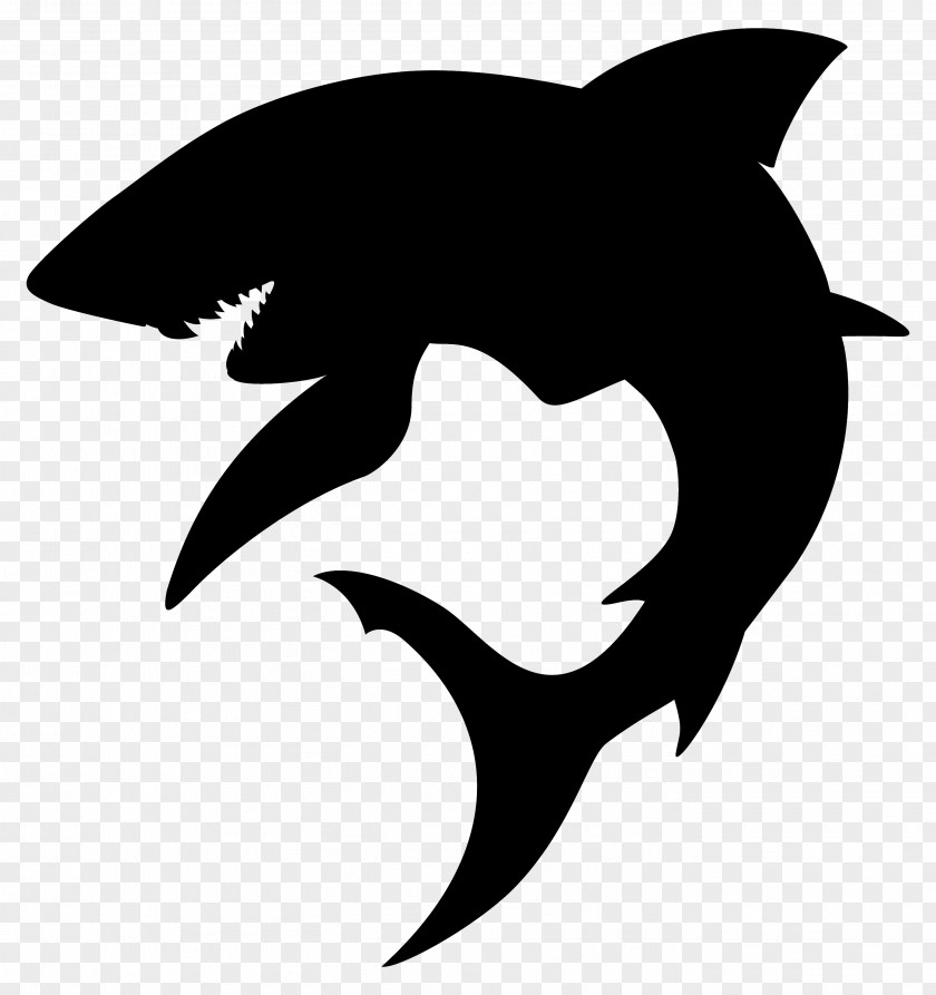 Sharks Shark Fin Soup Silhouette Hammerhead Great PNG
