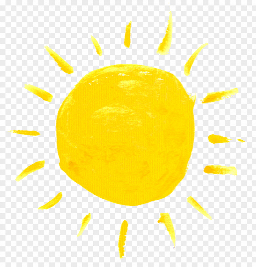 Sun Yellow Aesthetics Joanie Silversage Color PNG