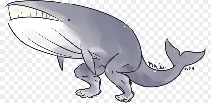 Whale Drawing Canidae Dog Mammal Line Art Animal PNG