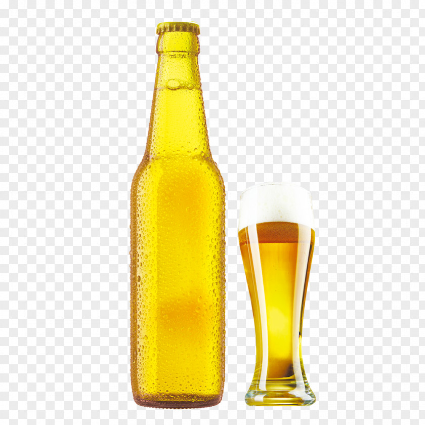 Beer Bottle Computer File PNG