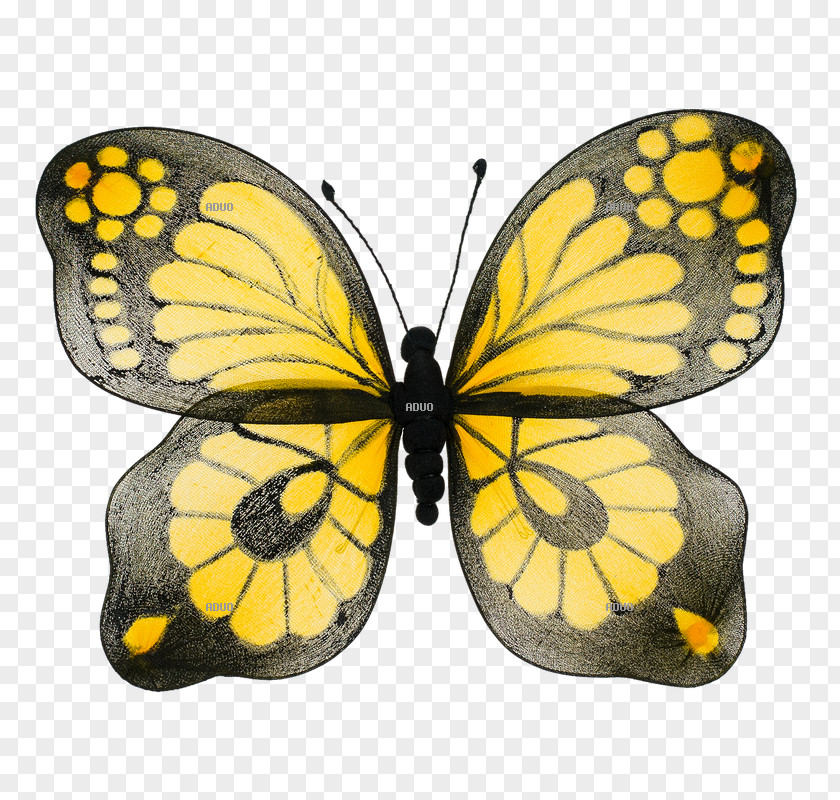 Bird Yellow Animal Butterflies And Moths Turquoise PNG