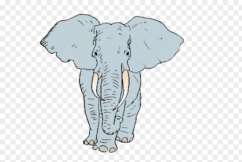 Elephant African Indian Cartoon Illustration PNG