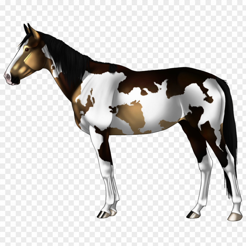 Mustang Stallion Mule Foal Mare PNG