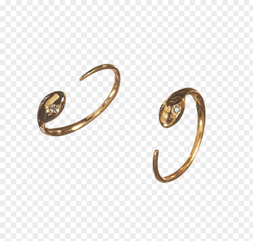 Ring Earring Jewellery Snake Kreole PNG