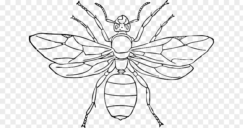 Cartoon Ant Queen Insect Clip Art PNG