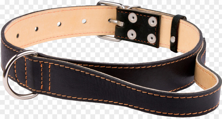 Dog Collar Neck Leather PNG