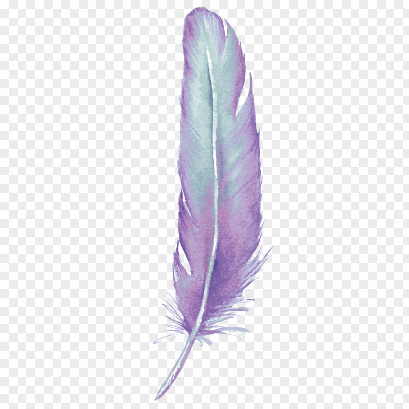 Feather PicsArt Photo Studio Quill Pen PNG