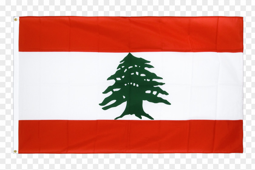 Flag Of Lebanon Syria PNG