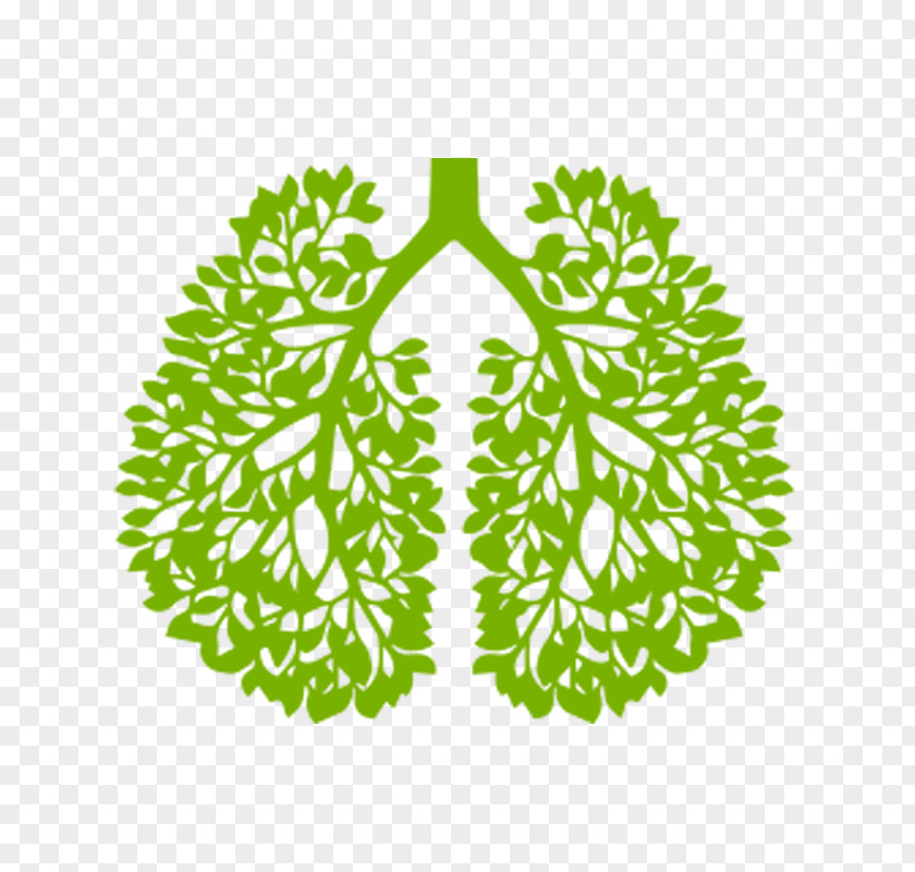 Lung Cancer HealthyWomen PNG