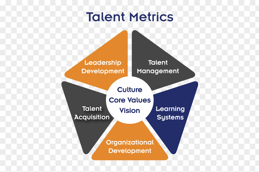 Talent Management Organization Balanced Scorecard Business PNG