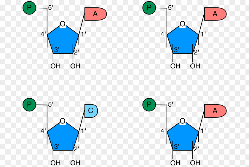 Technology Point Pattern PNG