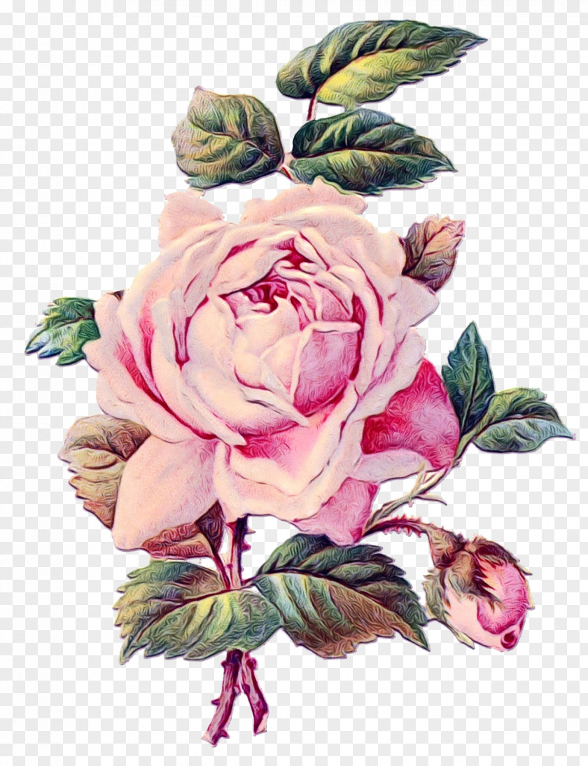 Bouquet Floribunda Flower Art Watercolor PNG