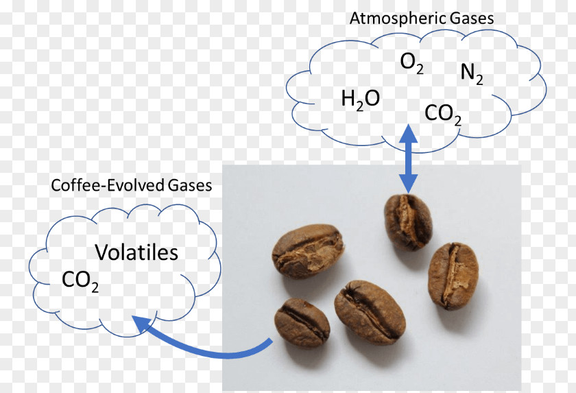 Diffusion In Solids Liquids And Gases Single-origin Coffee Roasting Bean Shelf Life PNG