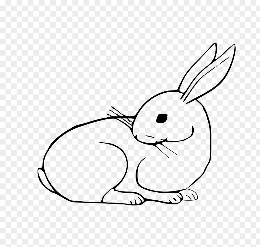 Drawing Rabbit Domestic Ausmalbild Coloring Book Line Art Idea PNG