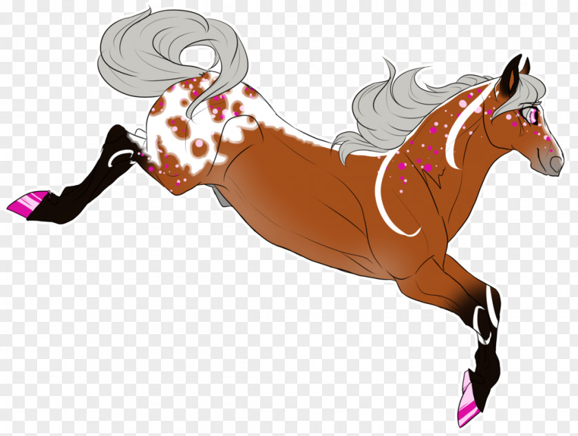 Mustang Stallion Halter Pony Equestrian PNG