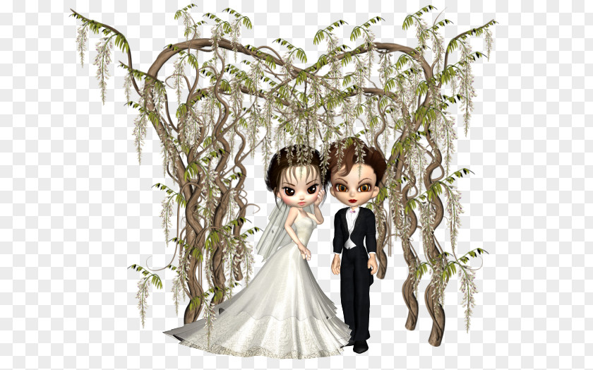 Tree Bride And Groom Salix Pierotii Bridegroom PNG