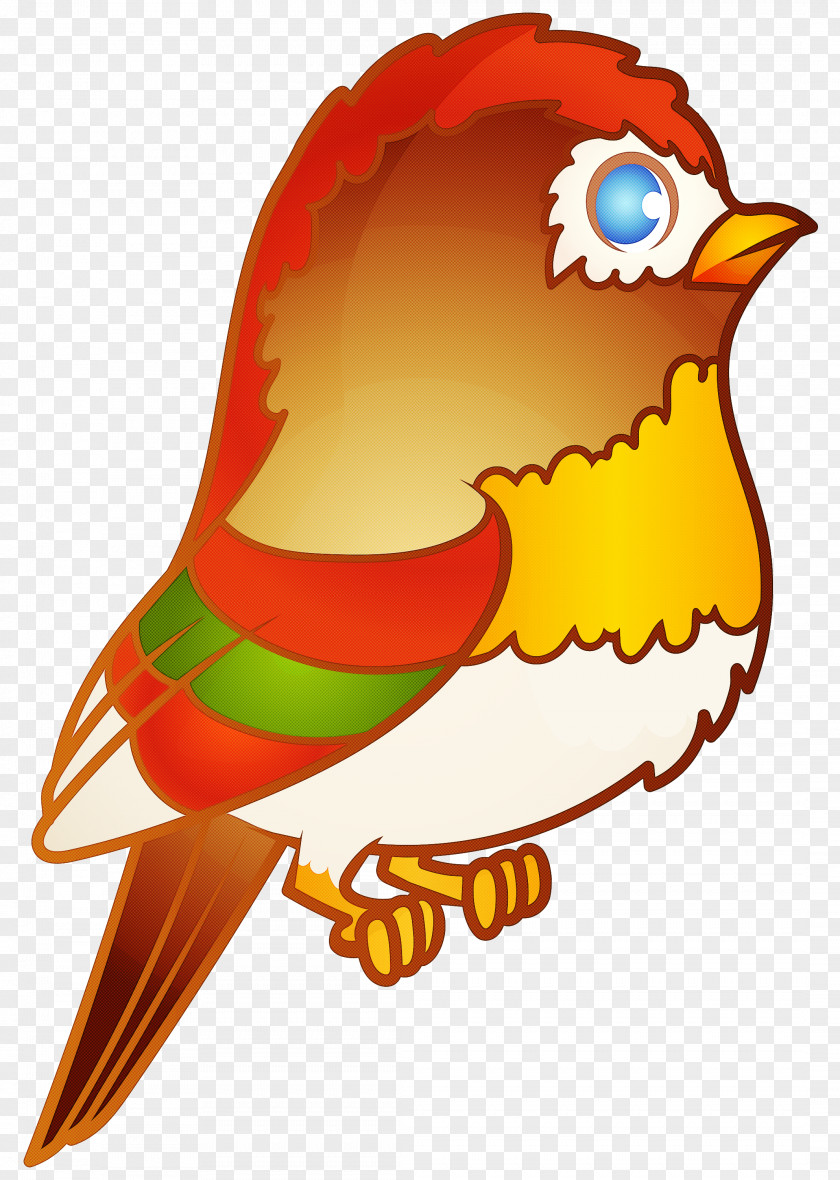 Beak Bird Cartoon PNG