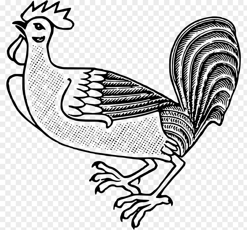 Big Dick Rooster Chicken Bird Poultry Farming Clip Art PNG