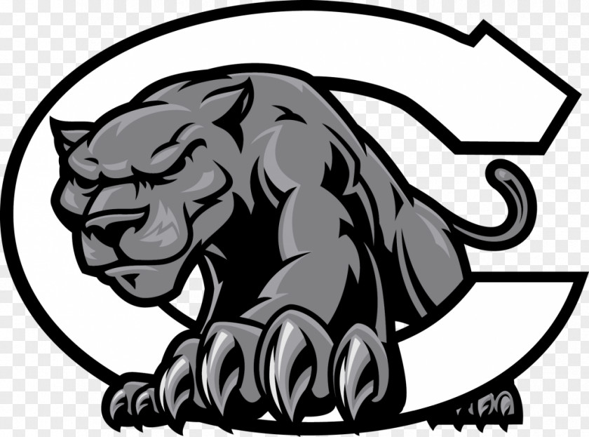 Black Panther Chester Boren Middle School Centralia High Jefferson City National Secondary PNG