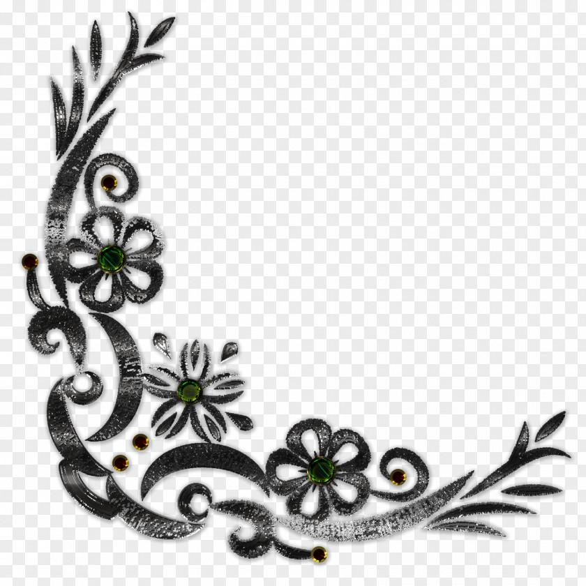 Curly Picture Frames Photography Ornament Clip Art PNG