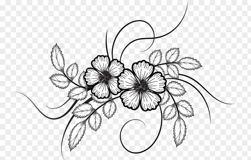 Flower Sketch Drawing PNG