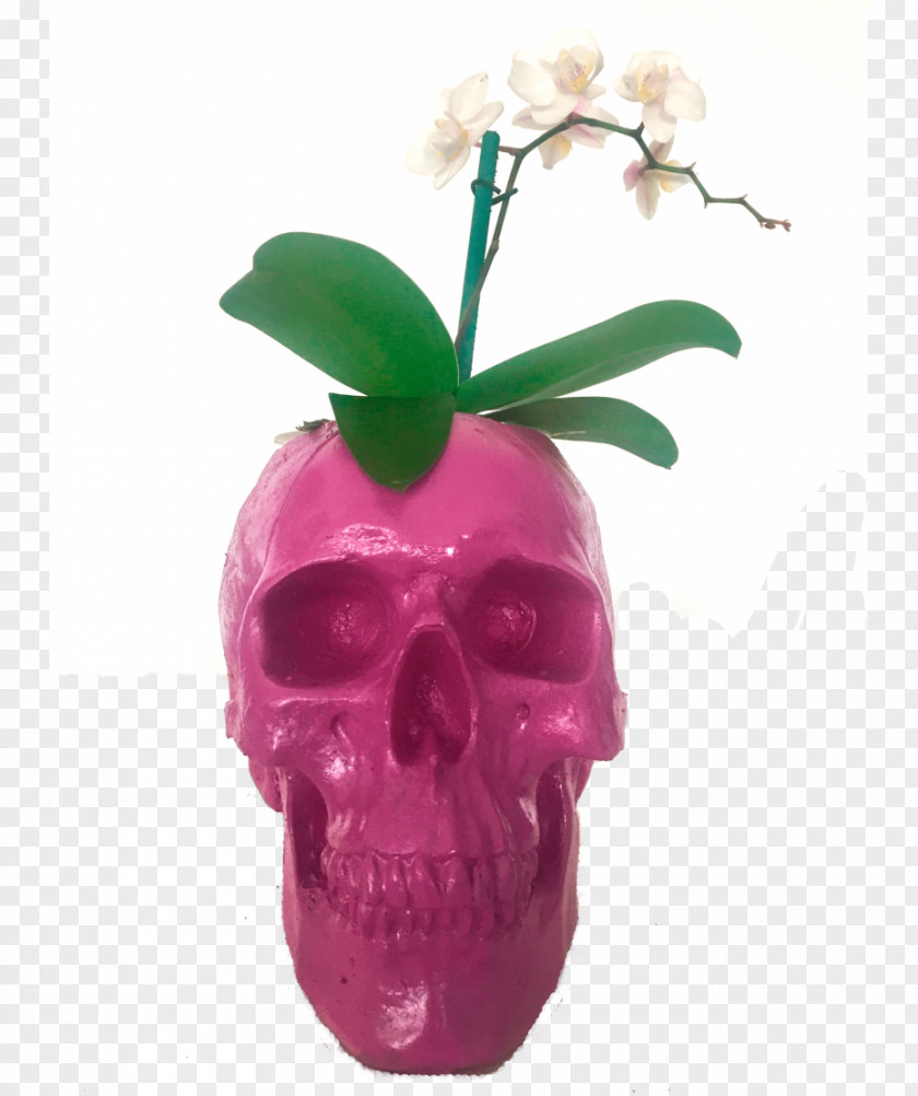 Order Catalog MINI Cooper Moth Orchids Skull PNG
