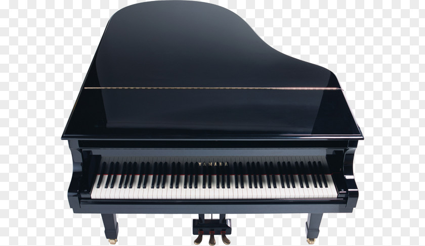 Piano Grand Musical Keyboard Clip Art PNG