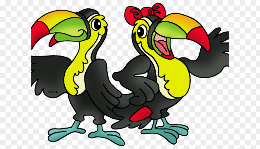 Rainforest Insects Clip Art Rooster Illustration Free Content Toucan PNG