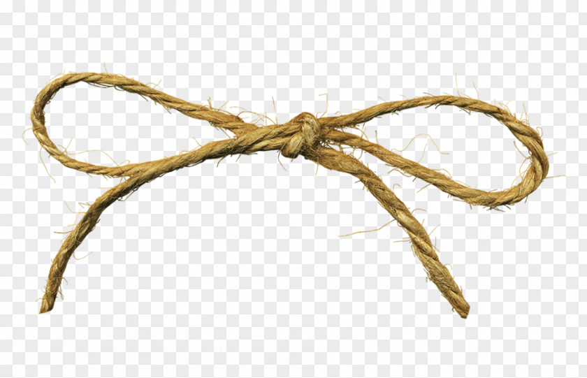 Rope Twine Clip Art PNG