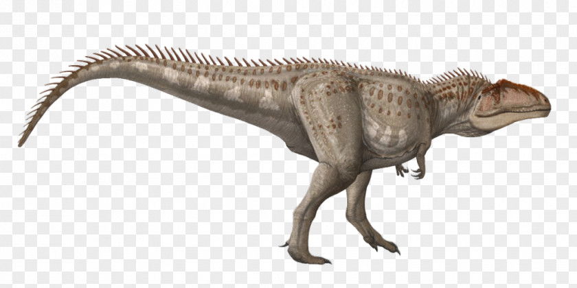 Tyrannosaurus Velociraptor Terrestrial Animal Wildlife PNG