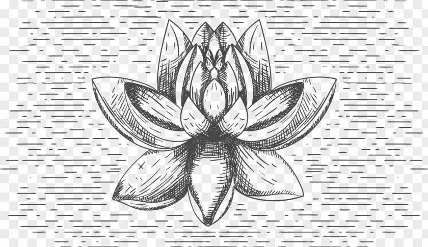 Vector Sketch Lotus T-shirt Flower Nelumbo Nucifera Black And White PNG