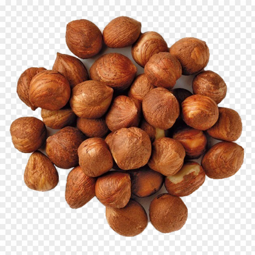 Chocolatecoated Peanut Superfood Hazelnut Food Nut Plant Nuts & Seeds PNG