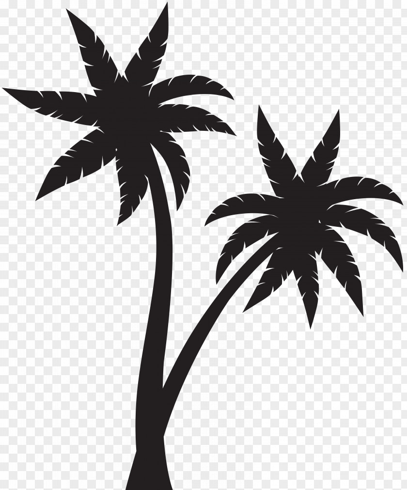 Palms Silhouette Clip Art Arecaceae PNG