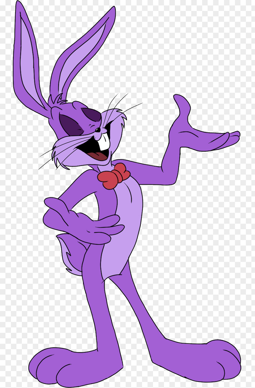Rabbit Bugs Bunny Elmer Fudd Daffy Duck Tasmanian Devil Foxy PNG