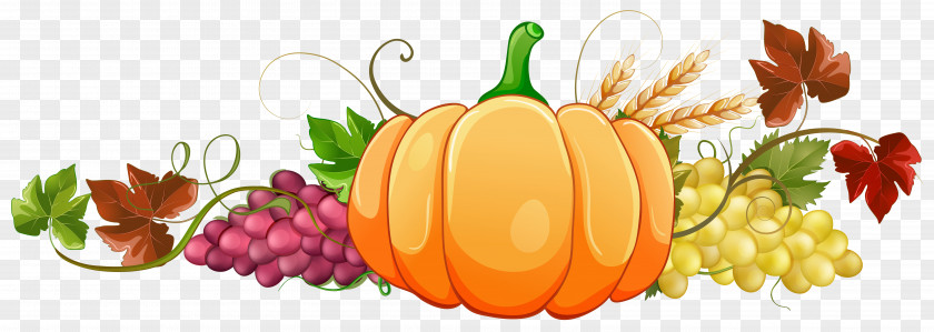 Autumn Pumpkin Decor Clipart Image Squash Soup Gourd Clip Art PNG