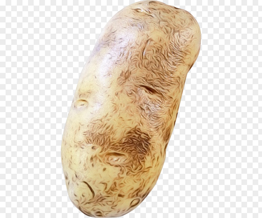 Beige Potato Cartoon PNG