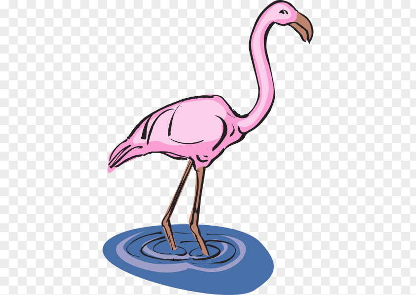 Bird Water Cliparts Flamingo Clip Art PNG