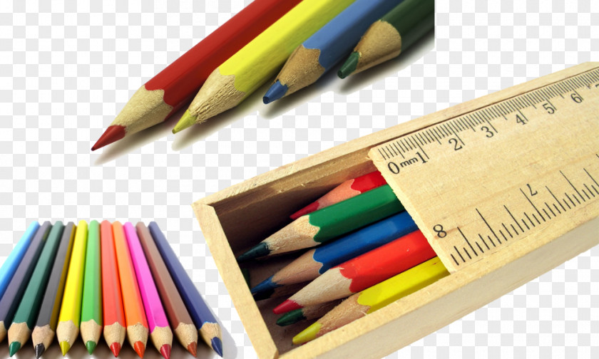 Colored Pencils,Teaching Elements School Pencil PNG