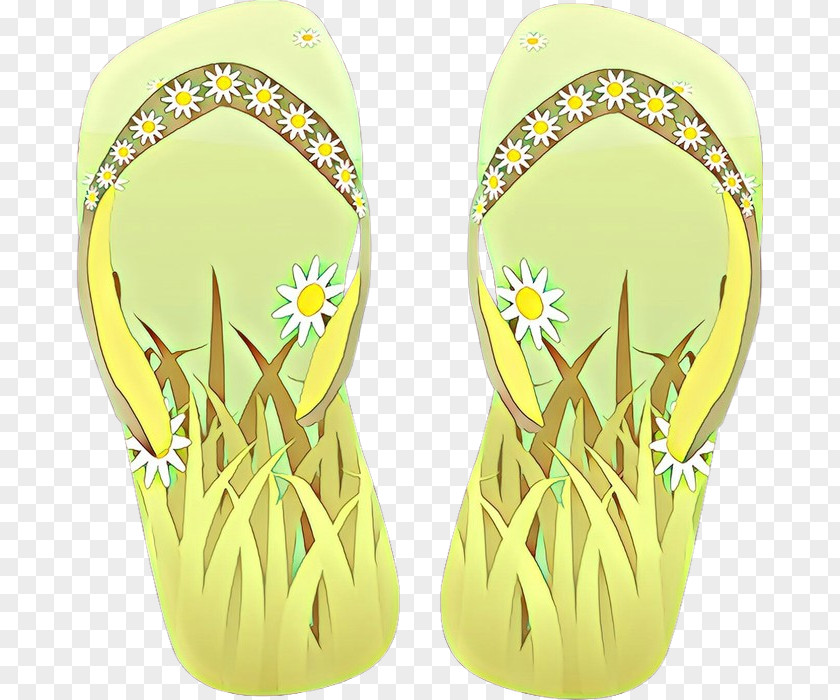 Flip-flops Shoe Product Design PNG