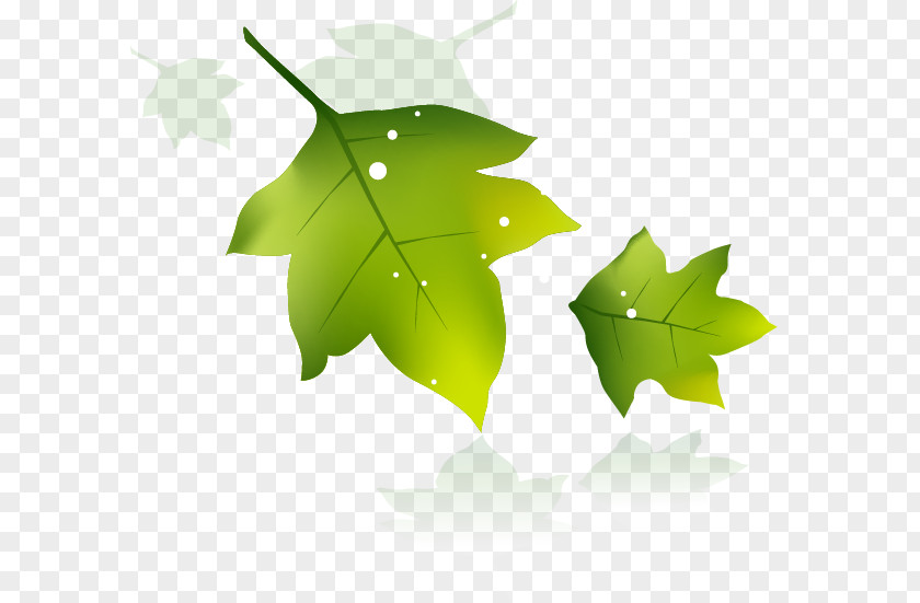 Green Leaves Banner Poster Leaf Download PNG