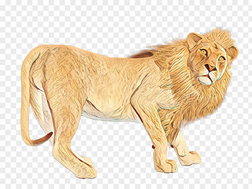 Lion Big Cat Terrestrial Animal PNG