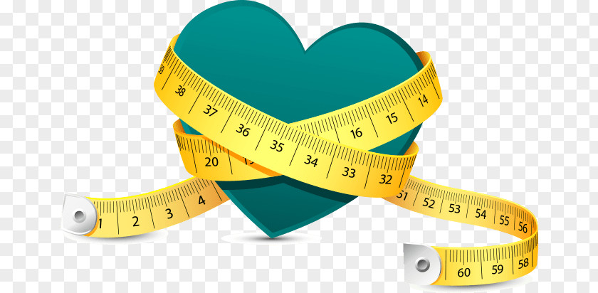 Losing Weight Tape Measures Measurement PNG