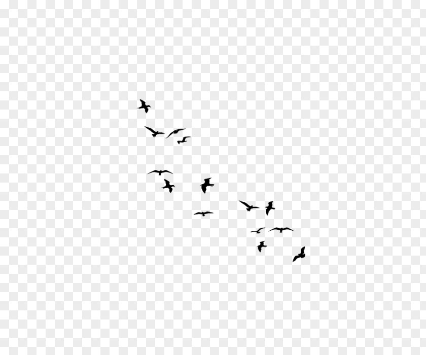 Minimacaw Flock Bird Goose Cygnini Wall Decal PNG