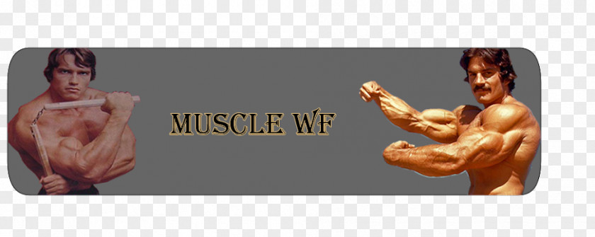 Muscle Wolf Bodybuilding United States Coach Shoulder PNG
