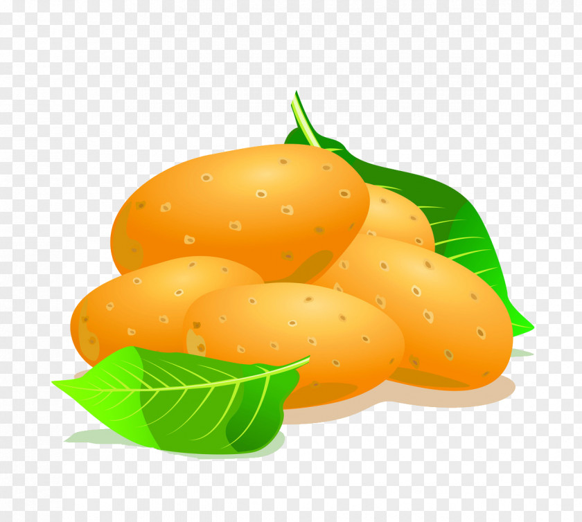 Potato Royalty-free Clip Art PNG