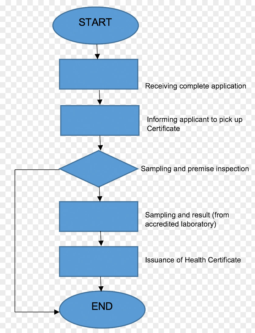Process Flow Diagram Flowchart Export PNG