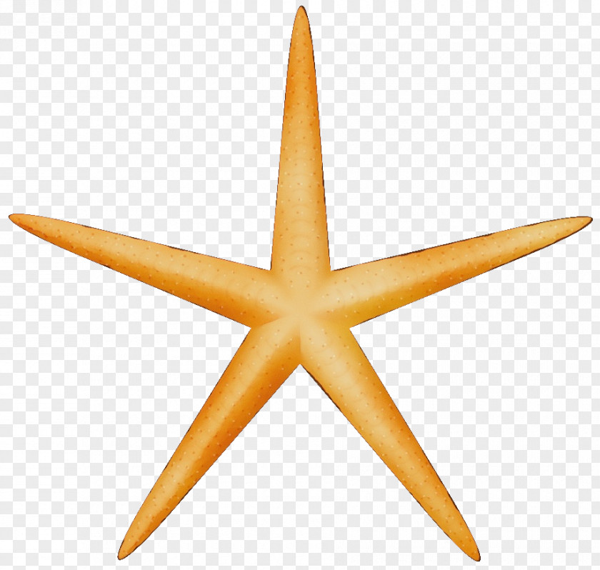 Sticker Starfish Icon Pictogram PNG