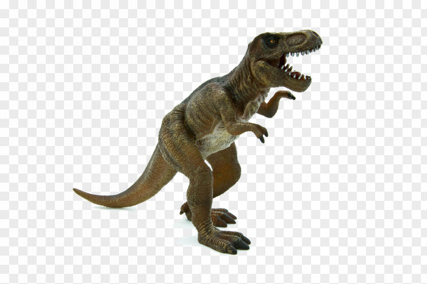 T Rex Tyrannosaurus Stegosaurus Triceratops Dinosaur Brachiosaurus PNG